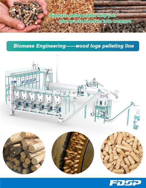 FDSP完整的生物质颗粒燃料成型装备